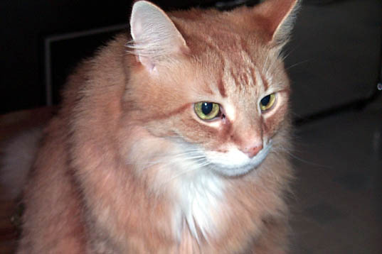 P0000343